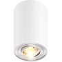 Zuma Line Rondoo lampa podsufitowa 1x50 W biała 45519-N zdj.1