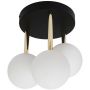 Zuma Line Ali lampa podsufitowa 3x40 W biała-czarna-złota 5644 zdj.1