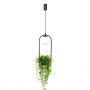 Zuma Line Plant lampa wisząca 1x40 W czarna 5003 zdj.5