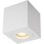 Zuma Line Quardip lampa podsufitowa 1x50W biała ACGU10-160-N zdj.1