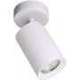 Zuma Line Tore lampa podsufitowa 1x50 W biała TLS006-WH zdj.1