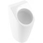 Villeroy & Boch Architectura pisuar 55860501 zdj.1