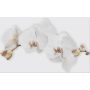 Cersanit Marisol white inserto flower dekor ścienny 25x40 cm mix połysk zdj.1