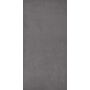Paradyż Doblo Grafit płytka ścienno-podłogowa 29,8x59,8 cm zdj.1