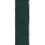 Paradyż Porcelano płytka ścienna 9,8x29,8 cm zielony poler zdj.1