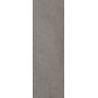 Paradyż Minimal Stone płytka ścienna 29,8x89,8 cm grafitowy mat zdj.1