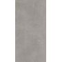 Stargres Stark Pure Grey płytka ścienno-podłogowa 60x30 cm szara zdj.1