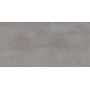 Stargres Walk Grey płytka ścienno-podłogowa 120x60 cm szara zdj.2