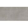 Stargres Stark Pure Grey płytka ścienno-podłogowa 60x30 cm szara zdj.1