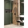 Zestaw Deante Kerria Plus Walk-In ścianki prysznicowe 100 cm wolnostojące czarny/szkło przezroczyste (KTSN30P, KTSN30P) zdj.8
