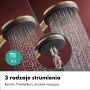 Hansgrohe Raindance Alive Q zestaw prysznicowy podtynkowy termostatyczny z deszczownicą brąz szczotkowany 24620140 zdj.7