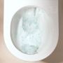 Hansgrohe EluPura Original S kompakt WC + deska sedesowa biały 60205450 zdj.9