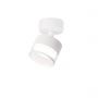Light Prestige Kendal lampa podsufitowa 1x7 W biała LP-6331/1WS TR/WH zdj.3