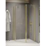 New Trendy New Soleo Light Gold kabina prysznicowa 100x80 cm złoty połysk/szkło przezroczyste K-1669 zdj.1
