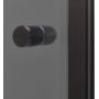 Sealskin Contour drzwi prysznicowe 100 cm szary mat/szkło przezroczyste CD201006145100 zdj.7