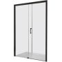 Sanplast Free Zone drzwi prysznicowe 100 cm rozsuwane czarny mat/szkło przezroczyste 600-271-3110-59-401 zdj.1