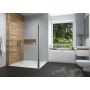 Sanplast Exa Line kabina prysznicowa walk-in 80x33,5 cm srebrny połysk/szkło przezroczyste 600-540-0970-38-401 zdj.5