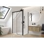 Sanplast Exa Line drzwi prysznicowe przesuwne D2/Exa Line-110-120 cm czarny mat/szkło przezroczyste 600-540-2520-59-401 zdj.1