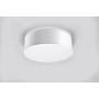 Sollux Lighting Arena plafon1x60W biały połysk SL.0129 zdj.3