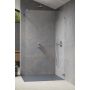 Radaway Essenza Pro Brushed Nickel Walk-In ścianka prysznicowa 130 cm wolonostojąca nikiel szczotkowany/szkło przezroczyste 10103130-91-01 zdj.1