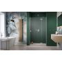 Radaway Essenza Brushed Nickel DWJ drzwi prysznicowe 100 cm uchylne nikiel szczotkowany/szkło przezroczyste 1385014-91-01R zdj.1