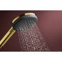 Hansgrohe Raindance Alive Select S EcoSmart słuchawka prysznicowa złoty optyczny polerowany 24511990 zdj.6