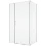 SanSwiss Cadura ścianka prysznicowa 120 cm boczna biały mat/szkło przezroczyste CAT21200907 zdj.1