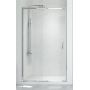 New Trendy New Corrina drzwi prysznicowe 100 cm wnękowe aluminium/szkło przezroczyste D-0089A zdj.1
