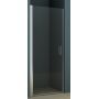 Riho Novik Z101 drzwi prysznicowe 100 cm wnękowe aluminium/szkło przezroczyste GZ1100000 zdj.1