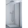 SanSwiss Melia ścianka prysznicowa Walk-In 100 cm srebrny mat/szkło przezroczyste M41P1001007 zdj.1