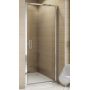 SanSwiss TOP-Line drzwi prysznicowe 75 cm srebrny mat/szkło przezroczyste TOPP07500107 zdj.1