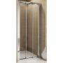 SanSwiss TOP-Line drzwi prysznicowe 120 cm srebrny mat/szkło przezroczyste TOPS312000107