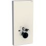 Outlet - Geberit Monolith moduł sanitarny do WC wiszącego szkło szary piasek/aluminium 131.021.JL.5 zdj.1