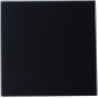Awenta System+ Trax 100 panel ozdobny szklany czarny mat PTGB100M zdj.3